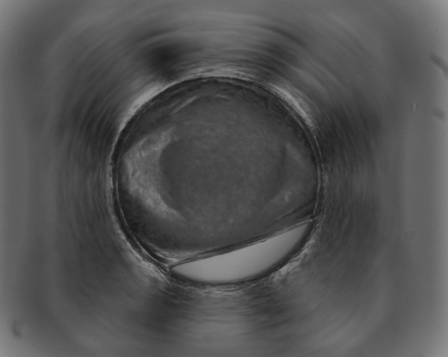 X0000091721133200709210955