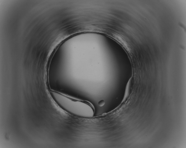 X0000091721136200709210955