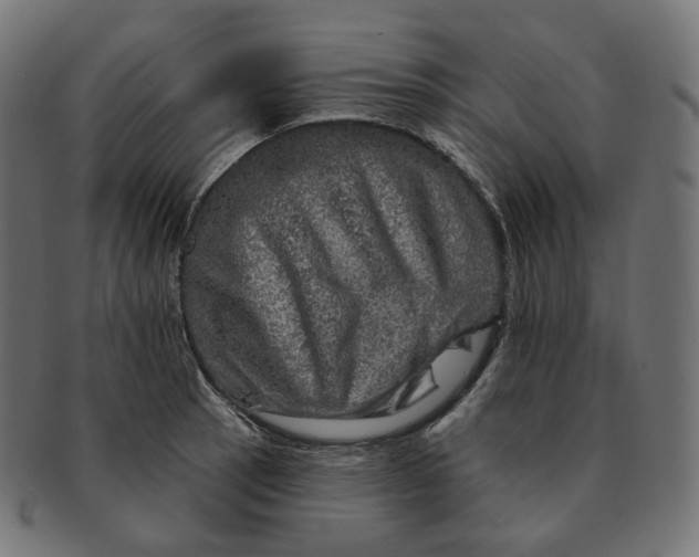 X0000091721137200709210955