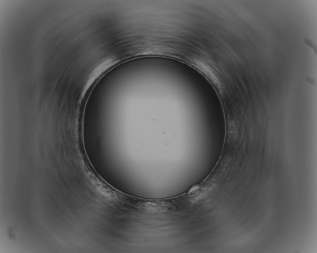 X0000091721138200709210955