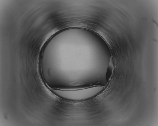 X0000091721139200709210955