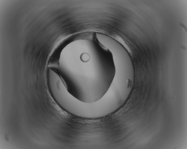 X0000091721140200709210955