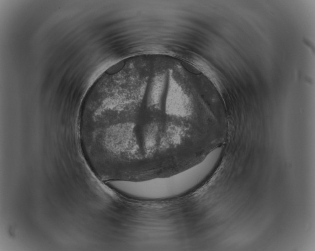 X0000091721141200709210956