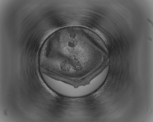 X0000091721142200709210956