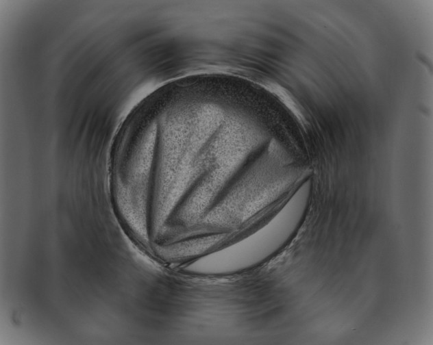 X0000091721143200709210956