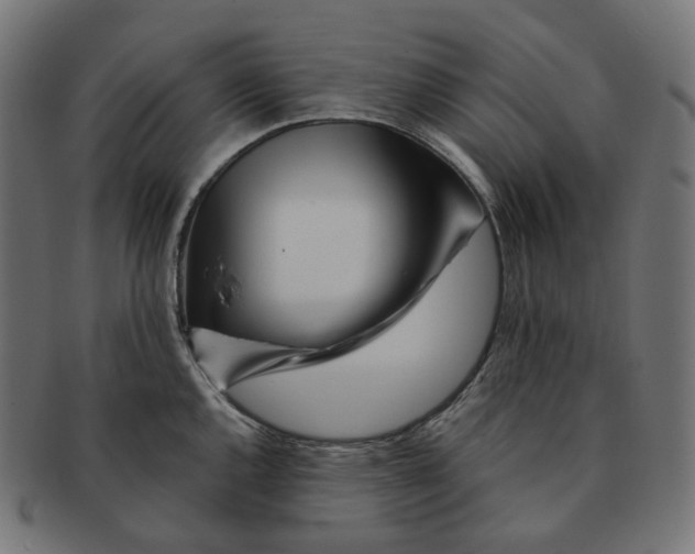 X0000091721144200709210956