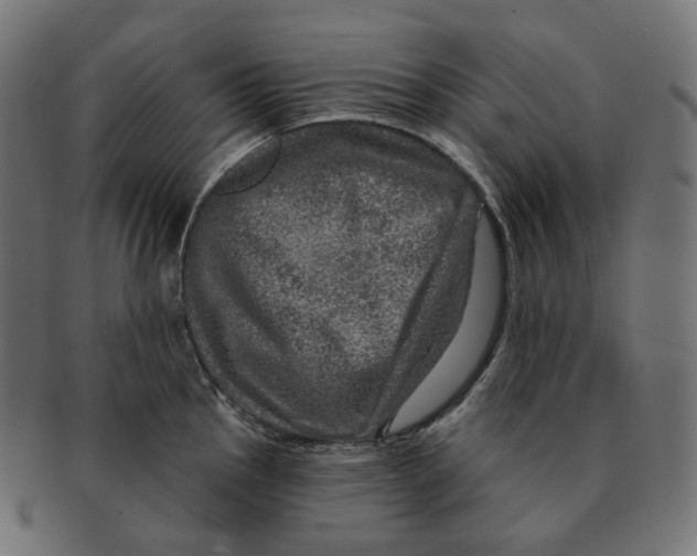 X0000091721145200709210956