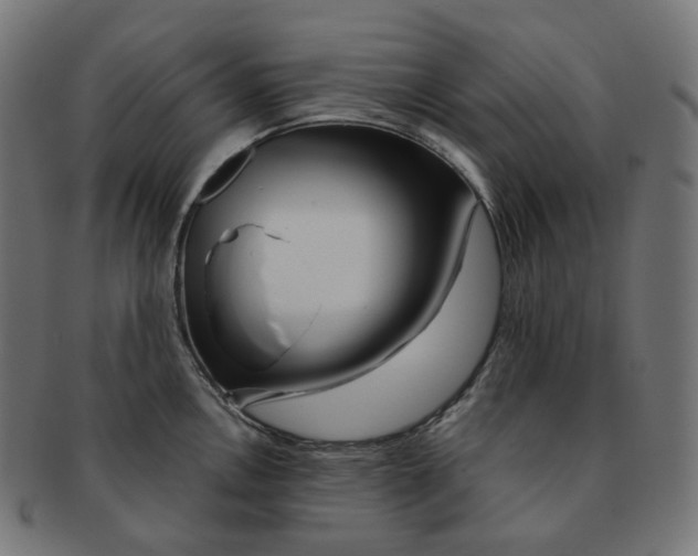 X0000091721146200709210956