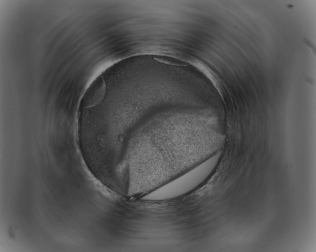 X0000091721147200709210956