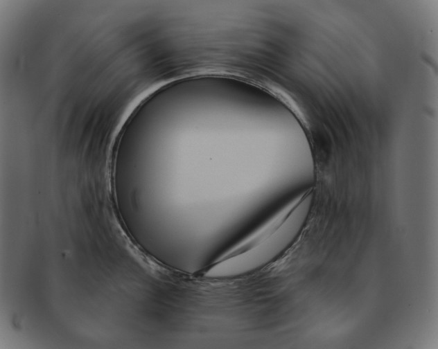 X0000091721148200709210956