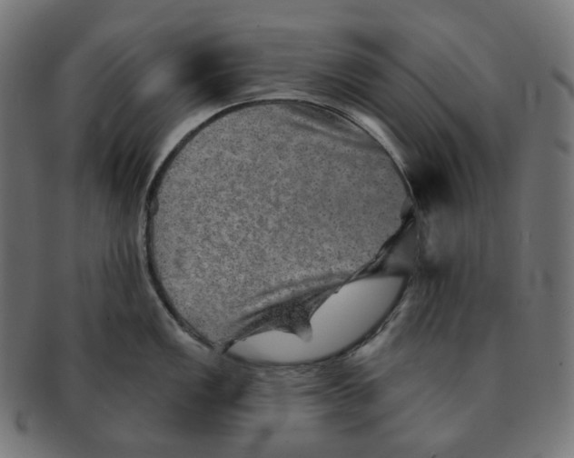 X0000091721149200709210956