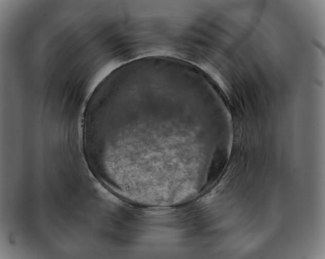 X0000091721151200709210956