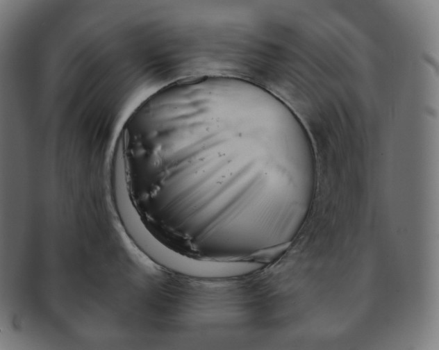 X0000091721152200709210956