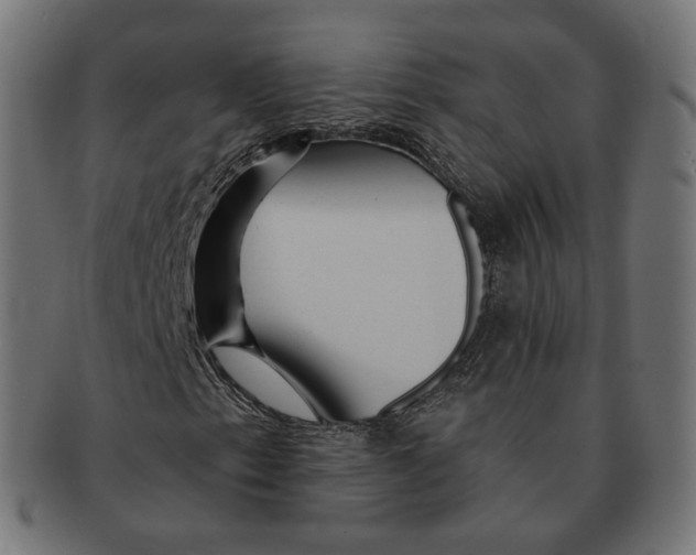 X0000091721153200709210955