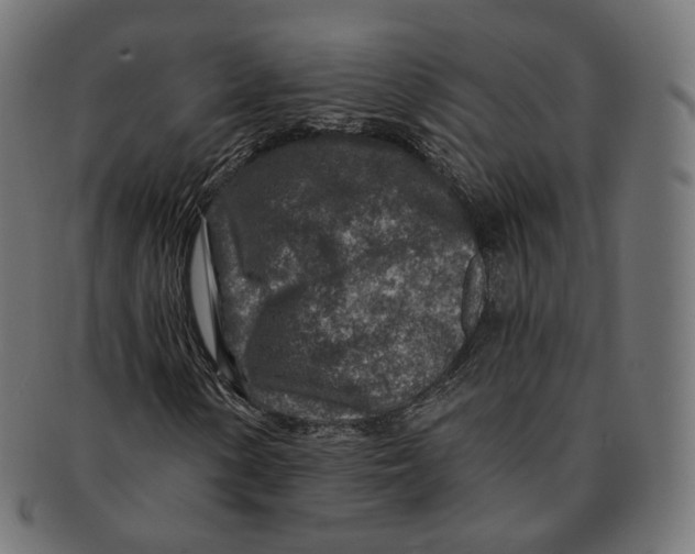 X0000091721154200709210955