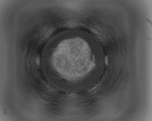 X0000091721155200709210955