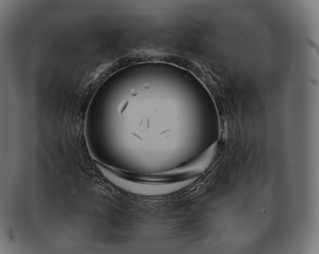 X0000091721157200709210955