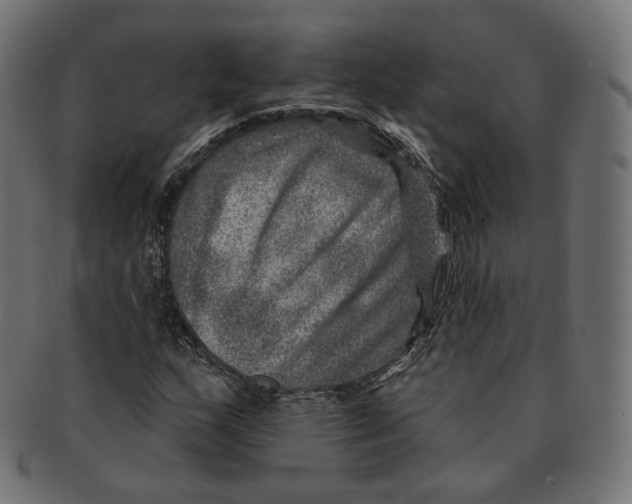 X0000091721159200709210955