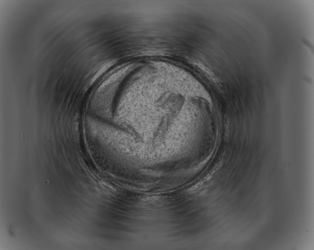 X0000091721162200709210955