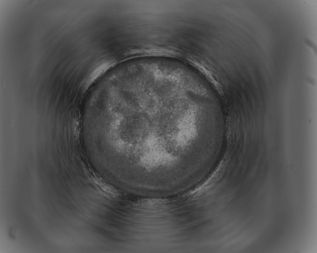 X0000091721163200709210955