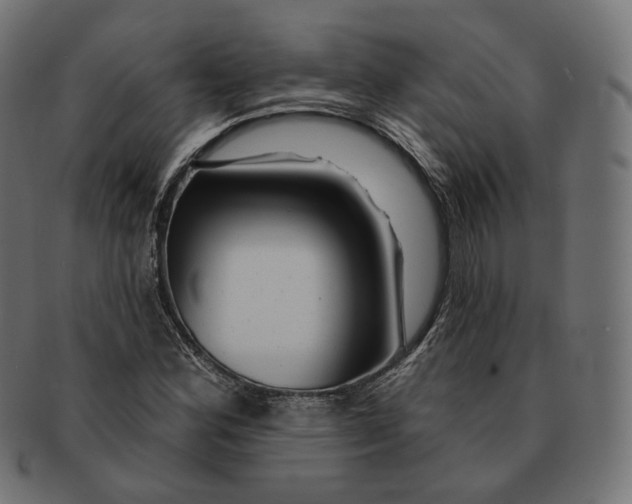 X0000091721164200709210955