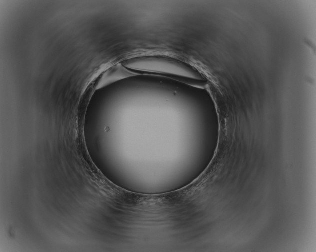 X0000091721165200709210955