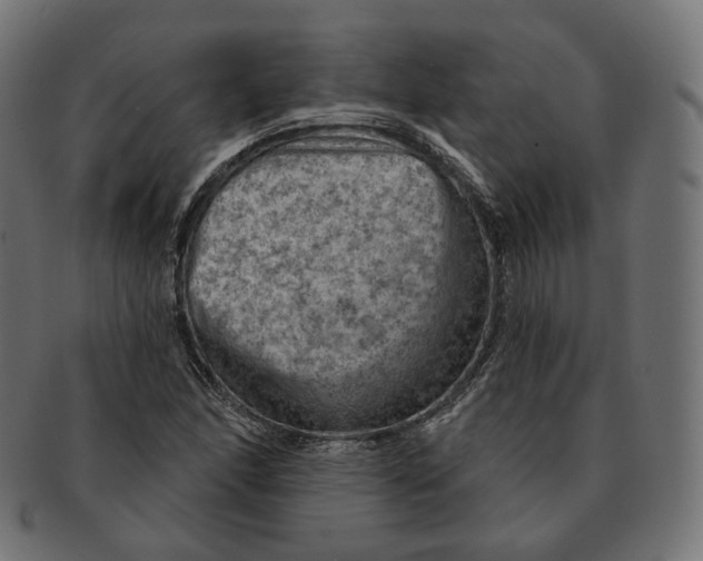 X0000091721166200709210955