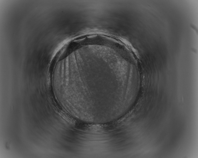 X0000091721167200709210955