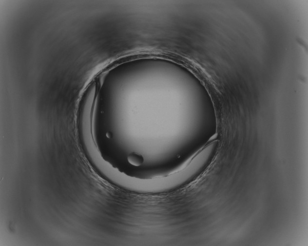 X0000091721168200709210955