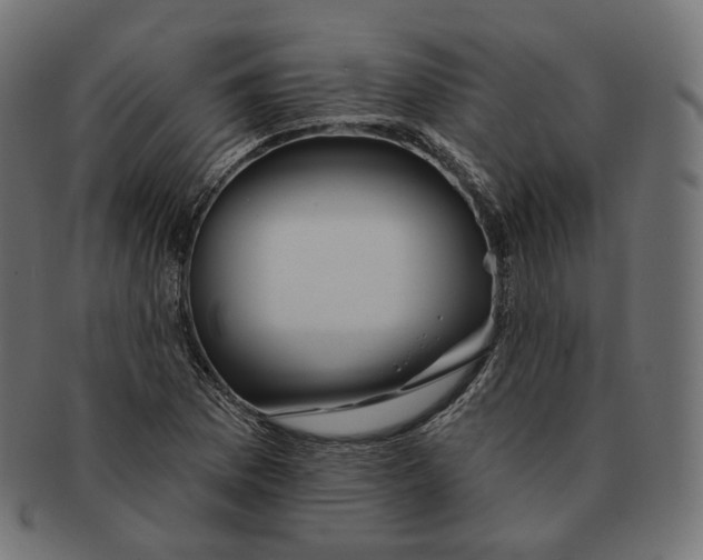 X0000091721169200709210955