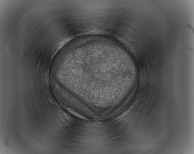 X0000091721170200709210955