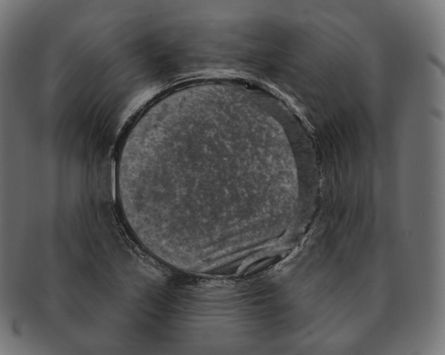 X0000091721171200709210955