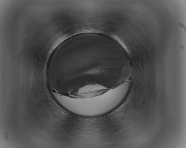 X0000091721173200709210955