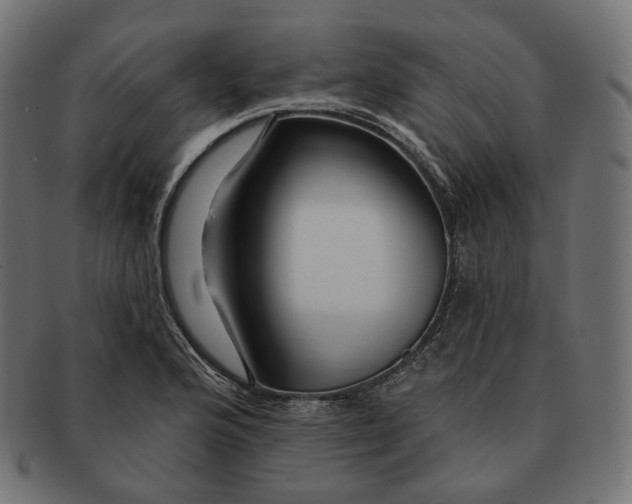 X0000091721176200709210955