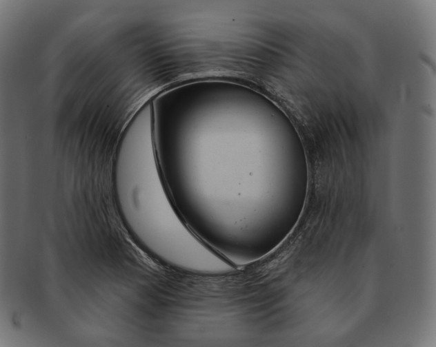 X0000091721177200709210955