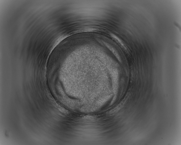 X0000091721178200709210955