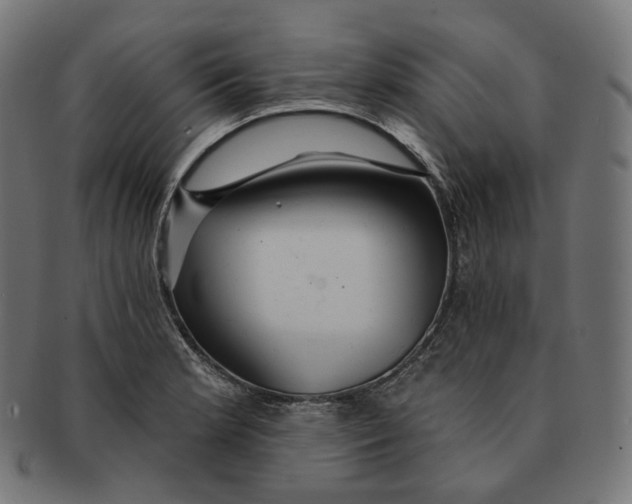 X0000091721181200709210955