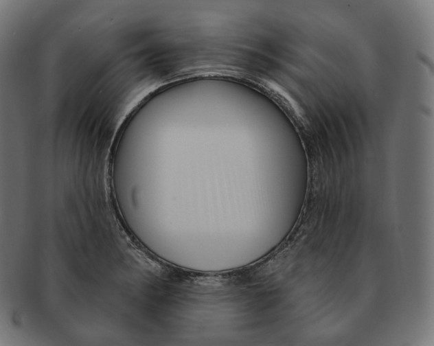 X0000091721182200709210955