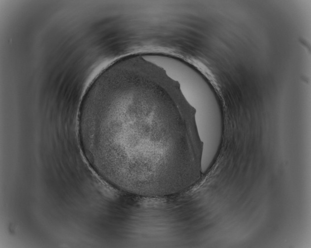 X0000091721183200709210955