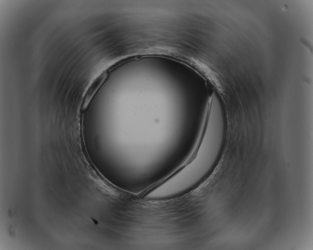 X0000091721184200709210955