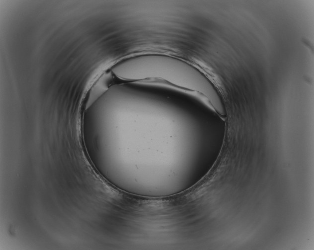 X0000091721188200709210954