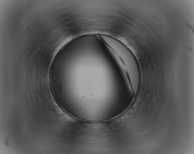 X0000091721189200709210954