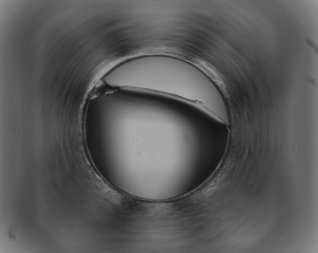 X0000091721192200709210954