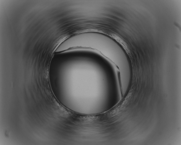 X0000091721193200709210954