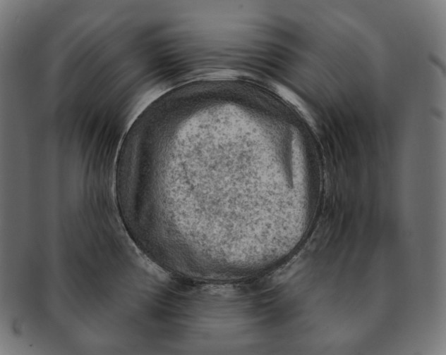 X0000091721194200709210954