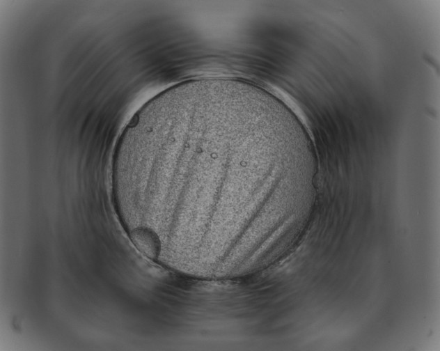 X0000091721195200709210954