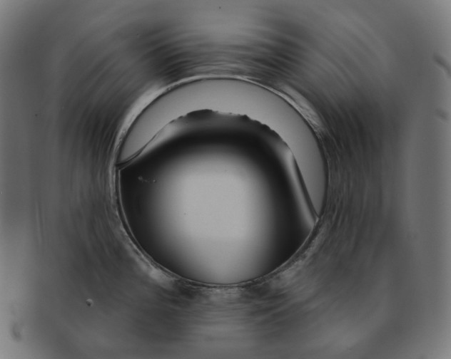 X0000091721196200709210954