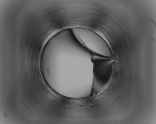 X0000091721197200709210954