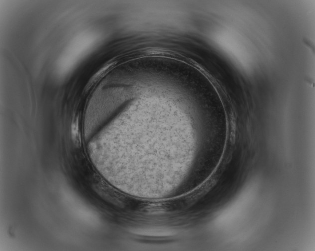 X0000091721198200709210954