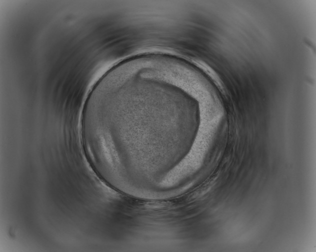 X0000091721199200709210954